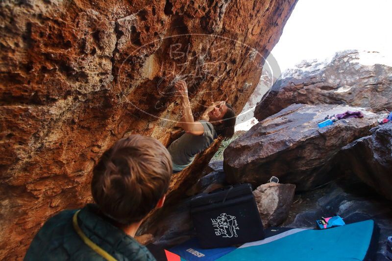 Bouldering in Hueco Tanks on 12/26/2019 with Blue Lizard Climbing and Yoga

Filename: SRM_20191226_1619270.jpg
Aperture: f/4.0
Shutter Speed: 1/250
Body: Canon EOS-1D Mark II
Lens: Canon EF 16-35mm f/2.8 L