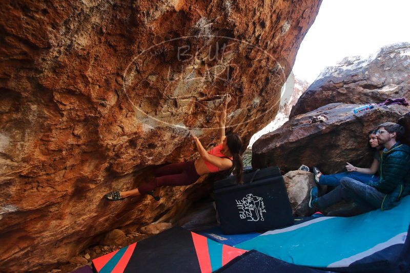 Bouldering in Hueco Tanks on 12/26/2019 with Blue Lizard Climbing and Yoga
Filename: SRM_20191226_1626300.jpg
Aperture: f/4.0
Shutter Speed: 1/250
Body: Canon EOS-1D Mark II
Lens: Canon EF 16-35mm f/2.8 L