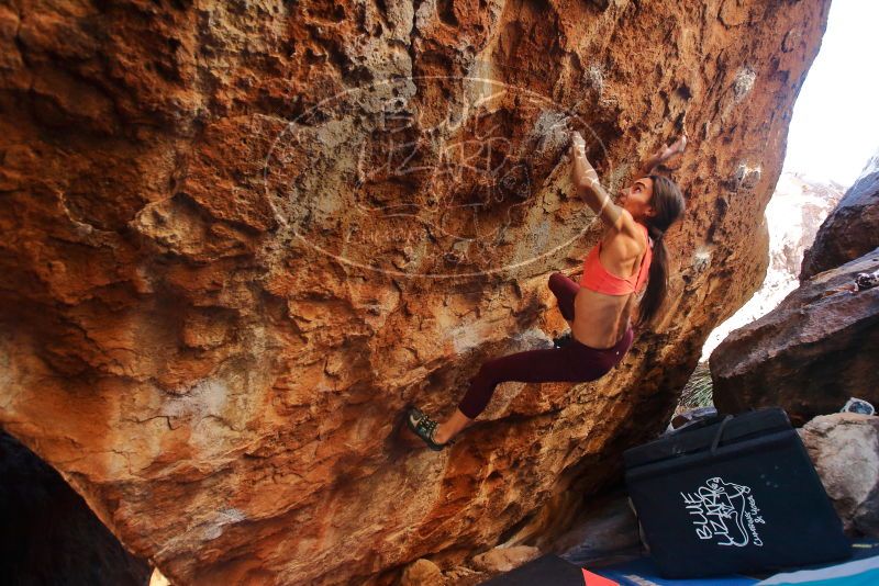 Bouldering in Hueco Tanks on 12/26/2019 with Blue Lizard Climbing and Yoga

Filename: SRM_20191226_1626370.jpg
Aperture: f/3.5
Shutter Speed: 1/250
Body: Canon EOS-1D Mark II
Lens: Canon EF 16-35mm f/2.8 L