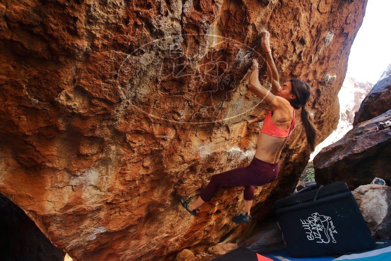 Bouldering in Hueco Tanks on 12/26/2019 with Blue Lizard Climbing and Yoga

Filename: SRM_20191226_1626371.jpg
Aperture: f/3.5
Shutter Speed: 1/250
Body: Canon EOS-1D Mark II
Lens: Canon EF 16-35mm f/2.8 L