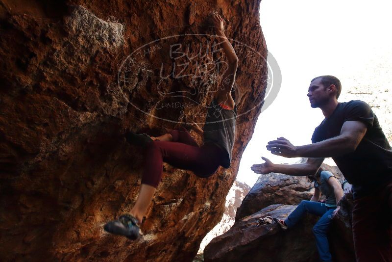 Bouldering in Hueco Tanks on 12/26/2019 with Blue Lizard Climbing and Yoga
Filename: SRM_20191226_1629070.jpg
Aperture: f/5.6
Shutter Speed: 1/250
Body: Canon EOS-1D Mark II
Lens: Canon EF 16-35mm f/2.8 L