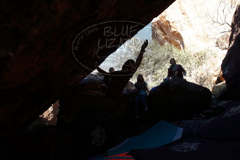 Bouldering in Hueco Tanks on 12/26/2019 with Blue Lizard Climbing and Yoga
Filename: SRM_20191226_1633340.jpg
Aperture: f/6.3
Shutter Speed: 1/250
Body: Canon EOS-1D Mark II
Lens: Canon EF 16-35mm f/2.8 L