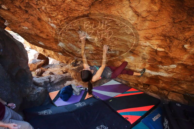 Bouldering in Hueco Tanks on 12/26/2019 with Blue Lizard Climbing and Yoga

Filename: SRM_20191226_1635260.jpg
Aperture: f/4.5
Shutter Speed: 1/250
Body: Canon EOS-1D Mark II
Lens: Canon EF 16-35mm f/2.8 L