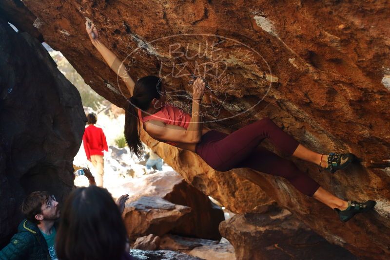 Bouldering in Hueco Tanks on 12/26/2019 with Blue Lizard Climbing and Yoga

Filename: SRM_20191226_1707440.jpg
Aperture: f/4.0
Shutter Speed: 1/320
Body: Canon EOS-1D Mark II
Lens: Canon EF 50mm f/1.8 II