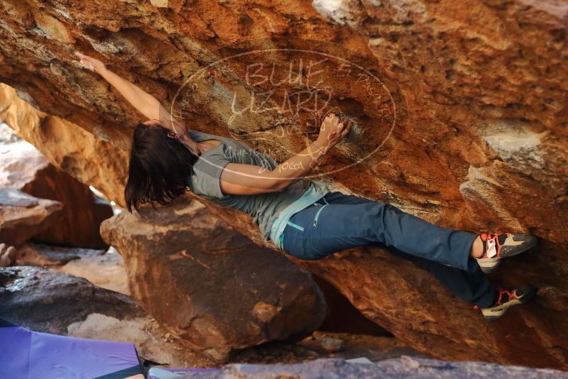 Bouldering in Hueco Tanks on 12/26/2019 with Blue Lizard Climbing and Yoga

Filename: SRM_20191226_1709590.jpg
Aperture: f/2.8
Shutter Speed: 1/320
Body: Canon EOS-1D Mark II
Lens: Canon EF 50mm f/1.8 II