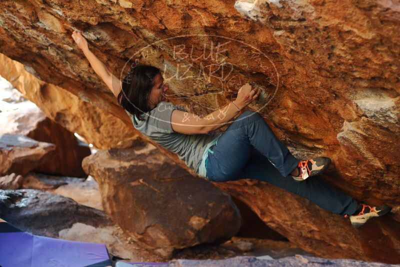 Bouldering in Hueco Tanks on 12/26/2019 with Blue Lizard Climbing and Yoga

Filename: SRM_20191226_1710000.jpg
Aperture: f/2.8
Shutter Speed: 1/320
Body: Canon EOS-1D Mark II
Lens: Canon EF 50mm f/1.8 II