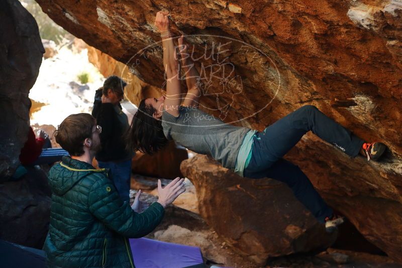 Bouldering in Hueco Tanks on 12/26/2019 with Blue Lizard Climbing and Yoga
Filename: SRM_20191226_1710090.jpg
Aperture: f/3.5
Shutter Speed: 1/320
Body: Canon EOS-1D Mark II
Lens: Canon EF 50mm f/1.8 II