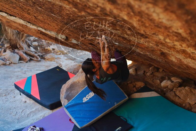 Bouldering in Hueco Tanks on 12/26/2019 with Blue Lizard Climbing and Yoga
Filename: SRM_20191226_1743320.jpg
Aperture: f/3.5
Shutter Speed: 1/320
Body: Canon EOS-1D Mark II
Lens: Canon EF 50mm f/1.8 II