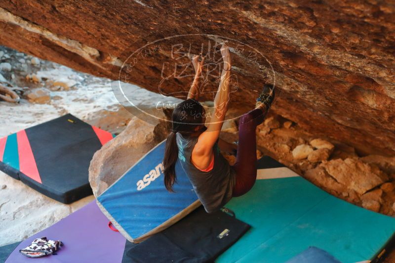 Bouldering in Hueco Tanks on 12/26/2019 with Blue Lizard Climbing and Yoga
Filename: SRM_20191226_1753350.jpg
Aperture: f/3.5
Shutter Speed: 1/250
Body: Canon EOS-1D Mark II
Lens: Canon EF 50mm f/1.8 II