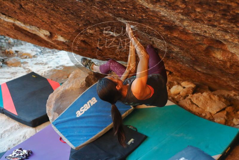 Bouldering in Hueco Tanks on 12/26/2019 with Blue Lizard Climbing and Yoga
Filename: SRM_20191226_1753380.jpg
Aperture: f/3.5
Shutter Speed: 1/250
Body: Canon EOS-1D Mark II
Lens: Canon EF 50mm f/1.8 II