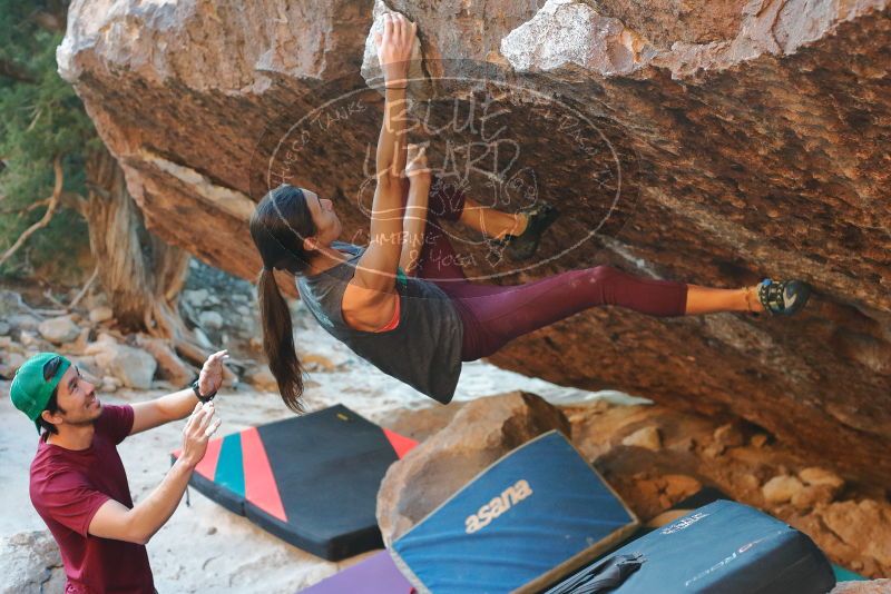 Bouldering in Hueco Tanks on 12/26/2019 with Blue Lizard Climbing and Yoga

Filename: SRM_20191226_1754070.jpg
Aperture: f/3.5
Shutter Speed: 1/250
Body: Canon EOS-1D Mark II
Lens: Canon EF 50mm f/1.8 II