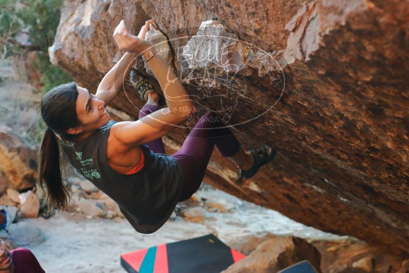 Bouldering in Hueco Tanks on 12/26/2019 with Blue Lizard Climbing and Yoga
Filename: SRM_20191226_1754240.jpg
Aperture: f/4.0
Shutter Speed: 1/250
Body: Canon EOS-1D Mark II
Lens: Canon EF 50mm f/1.8 II
