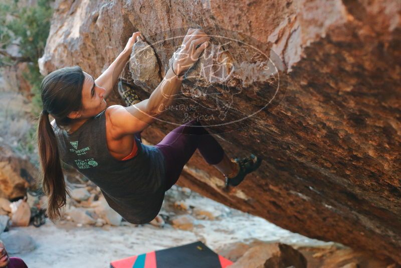 Bouldering in Hueco Tanks on 12/26/2019 with Blue Lizard Climbing and Yoga
Filename: SRM_20191226_1754250.jpg
Aperture: f/4.0
Shutter Speed: 1/250
Body: Canon EOS-1D Mark II
Lens: Canon EF 50mm f/1.8 II