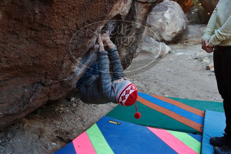 Bouldering in Hueco Tanks on 12/27/2019 with Blue Lizard Climbing and Yoga
Filename: SRM_20191227_1016460.jpg
Aperture: f/4.5
Shutter Speed: 1/250
Body: Canon EOS-1D Mark II
Lens: Canon EF 16-35mm f/2.8 L
