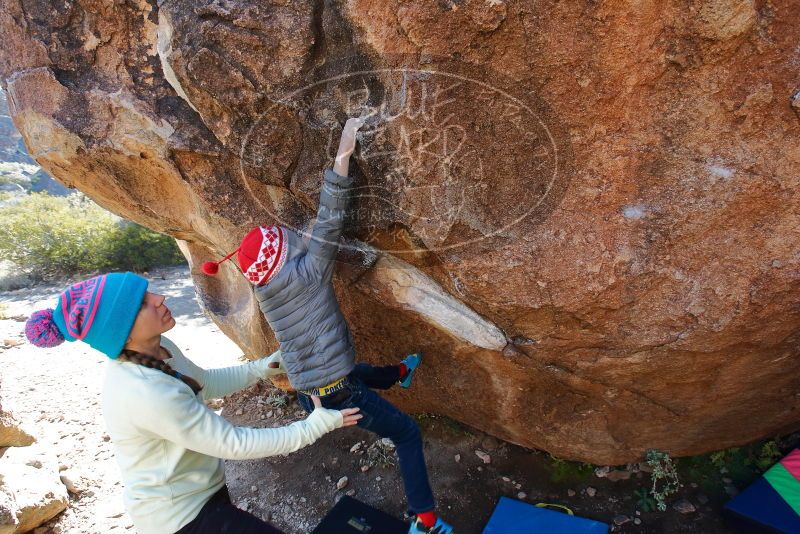 Bouldering in Hueco Tanks on 12/27/2019 with Blue Lizard Climbing and Yoga

Filename: SRM_20191227_1104090.jpg
Aperture: f/5.6
Shutter Speed: 1/250
Body: Canon EOS-1D Mark II
Lens: Canon EF 16-35mm f/2.8 L