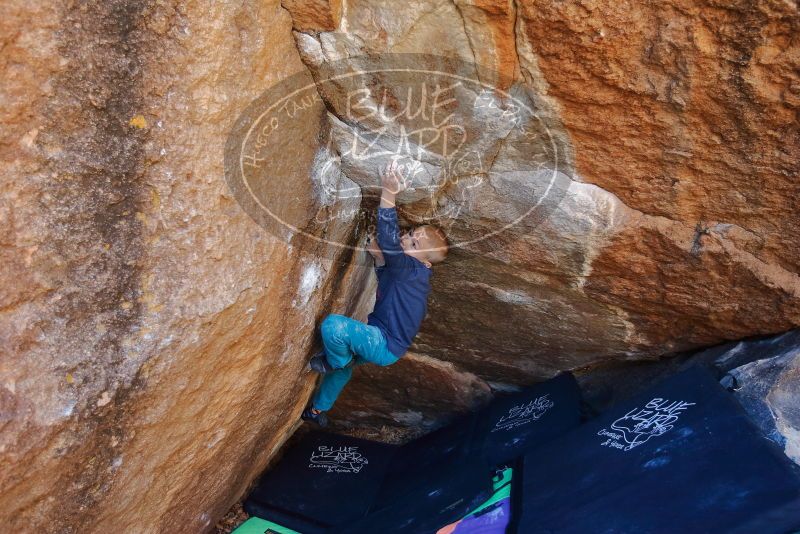 Bouldering in Hueco Tanks on 12/27/2019 with Blue Lizard Climbing and Yoga
Filename: SRM_20191227_1110300.jpg
Aperture: f/3.5
Shutter Speed: 1/250
Body: Canon EOS-1D Mark II
Lens: Canon EF 16-35mm f/2.8 L