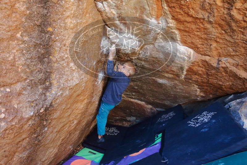 Bouldering in Hueco Tanks on 12/27/2019 with Blue Lizard Climbing and Yoga

Filename: SRM_20191227_1112260.jpg
Aperture: f/4.5
Shutter Speed: 1/250
Body: Canon EOS-1D Mark II
Lens: Canon EF 16-35mm f/2.8 L