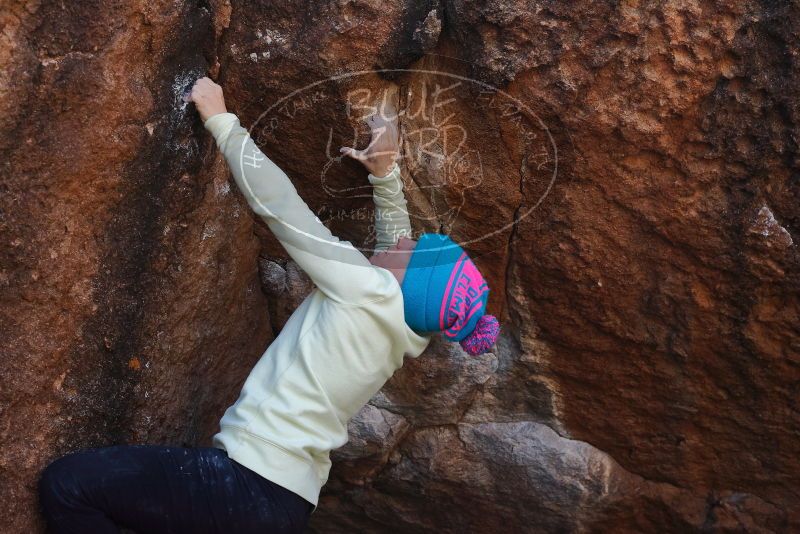 Bouldering in Hueco Tanks on 12/27/2019 with Blue Lizard Climbing and Yoga
Filename: SRM_20191227_1154500.jpg
Aperture: f/6.3
Shutter Speed: 1/320
Body: Canon EOS-1D Mark II
Lens: Canon EF 50mm f/1.8 II