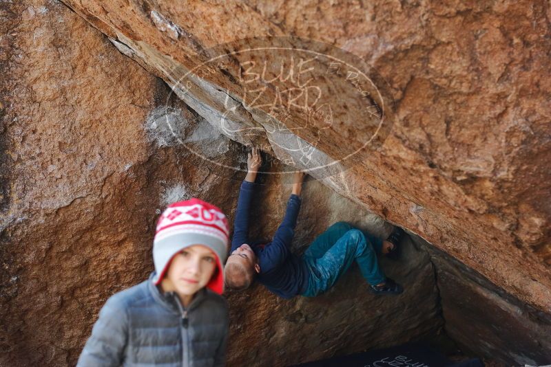 Bouldering in Hueco Tanks on 12/27/2019 with Blue Lizard Climbing and Yoga
Filename: SRM_20191227_1209020.jpg
Aperture: f/4.0
Shutter Speed: 1/320
Body: Canon EOS-1D Mark II
Lens: Canon EF 50mm f/1.8 II