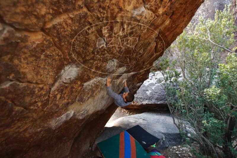 Bouldering in Hueco Tanks on 12/27/2019 with Blue Lizard Climbing and Yoga

Filename: SRM_20191227_1227110.jpg
Aperture: f/2.8
Shutter Speed: 1/250
Body: Canon EOS-1D Mark II
Lens: Canon EF 16-35mm f/2.8 L