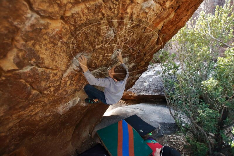 Bouldering in Hueco Tanks on 12/27/2019 with Blue Lizard Climbing and Yoga
Filename: SRM_20191227_1227320.jpg
Aperture: f/2.8
Shutter Speed: 1/250
Body: Canon EOS-1D Mark II
Lens: Canon EF 16-35mm f/2.8 L
