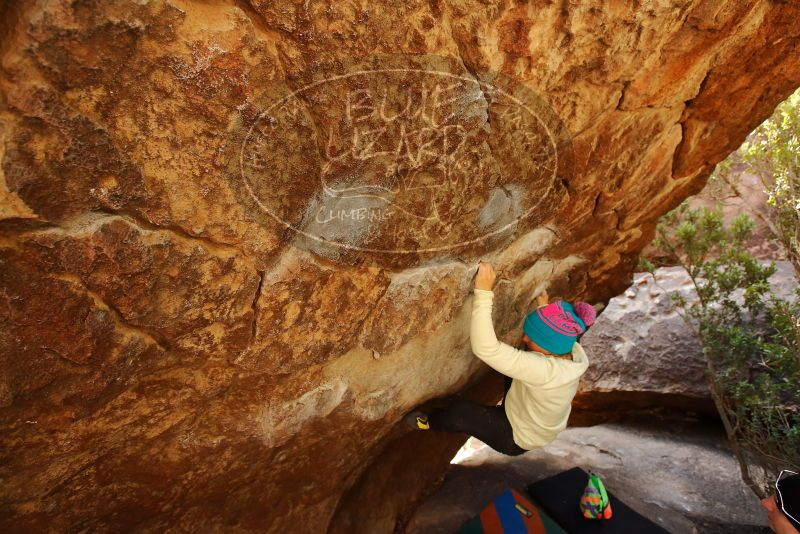 Bouldering in Hueco Tanks on 12/27/2019 with Blue Lizard Climbing and Yoga

Filename: SRM_20191227_1237400.jpg
Aperture: f/4.5
Shutter Speed: 1/250
Body: Canon EOS-1D Mark II
Lens: Canon EF 16-35mm f/2.8 L