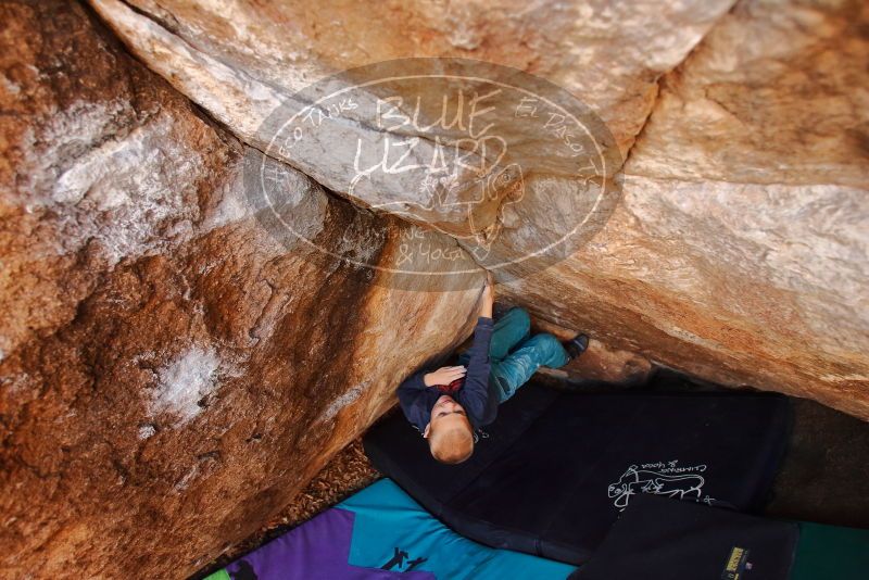 Bouldering in Hueco Tanks on 12/27/2019 with Blue Lizard Climbing and Yoga

Filename: SRM_20191227_1257480.jpg
Aperture: f/4.0
Shutter Speed: 1/250
Body: Canon EOS-1D Mark II
Lens: Canon EF 16-35mm f/2.8 L