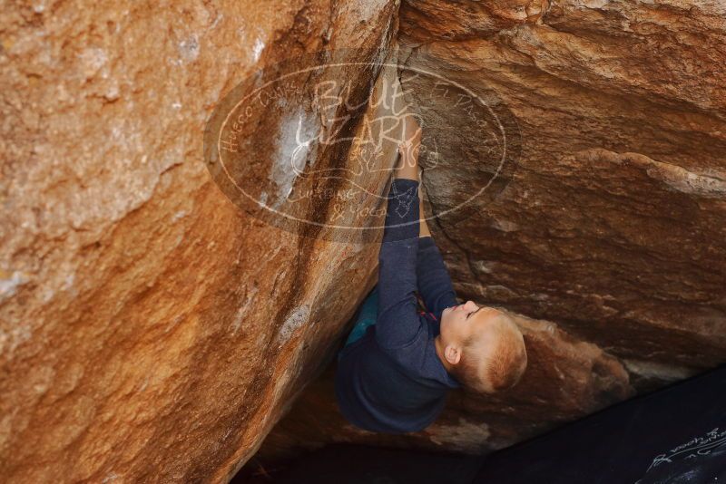 Bouldering in Hueco Tanks on 12/27/2019 with Blue Lizard Climbing and Yoga

Filename: SRM_20191227_1307560.jpg
Aperture: f/5.0
Shutter Speed: 1/320
Body: Canon EOS-1D Mark II
Lens: Canon EF 50mm f/1.8 II
