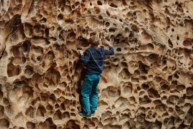 Bouldering in Hueco Tanks on 12/27/2019 with Blue Lizard Climbing and Yoga

Filename: SRM_20191227_1559470.jpg
Aperture: f/3.2
Shutter Speed: 1/250
Body: Canon EOS-1D Mark II
Lens: Canon EF 50mm f/1.8 II