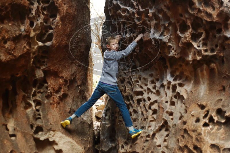 Bouldering in Hueco Tanks on 12/27/2019 with Blue Lizard Climbing and Yoga

Filename: SRM_20191227_1605420.jpg
Aperture: f/2.0
Shutter Speed: 1/200
Body: Canon EOS-1D Mark II
Lens: Canon EF 50mm f/1.8 II