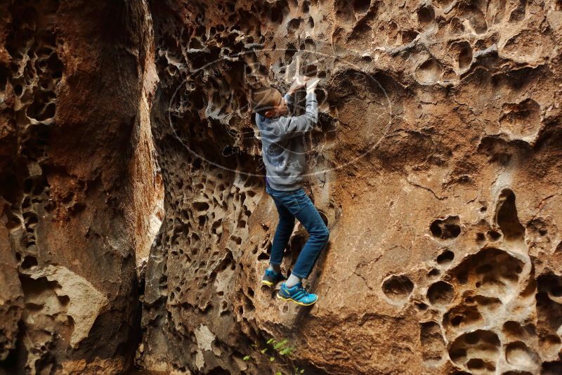 Bouldering in Hueco Tanks on 12/27/2019 with Blue Lizard Climbing and Yoga

Filename: SRM_20191227_1606080.jpg
Aperture: f/2.8
Shutter Speed: 1/200
Body: Canon EOS-1D Mark II
Lens: Canon EF 50mm f/1.8 II