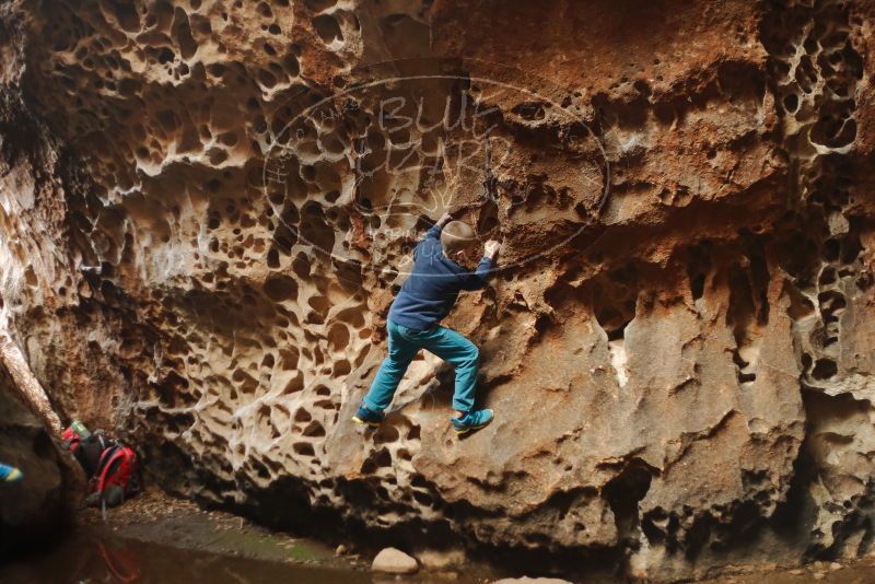 Bouldering in Hueco Tanks on 12/27/2019 with Blue Lizard Climbing and Yoga
Filename: SRM_20191227_1606150.jpg
Aperture: f/2.2
Shutter Speed: 1/200
Body: Canon EOS-1D Mark II
Lens: Canon EF 50mm f/1.8 II