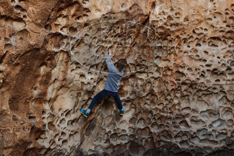 Bouldering in Hueco Tanks on 12/27/2019 with Blue Lizard Climbing and Yoga

Filename: SRM_20191227_1616570.jpg
Aperture: f/3.5
Shutter Speed: 1/160
Body: Canon EOS-1D Mark II
Lens: Canon EF 50mm f/1.8 II