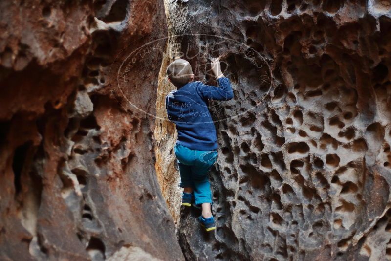 Bouldering in Hueco Tanks on 12/27/2019 with Blue Lizard Climbing and Yoga
Filename: SRM_20191227_1618090.jpg
Aperture: f/1.8
Shutter Speed: 1/160
Body: Canon EOS-1D Mark II
Lens: Canon EF 50mm f/1.8 II