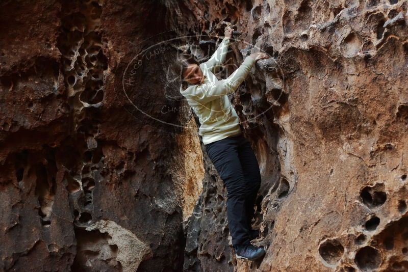 Bouldering in Hueco Tanks on 12/27/2019 with Blue Lizard Climbing and Yoga

Filename: SRM_20191227_1625380.jpg
Aperture: f/3.2
Shutter Speed: 1/125
Body: Canon EOS-1D Mark II
Lens: Canon EF 50mm f/1.8 II