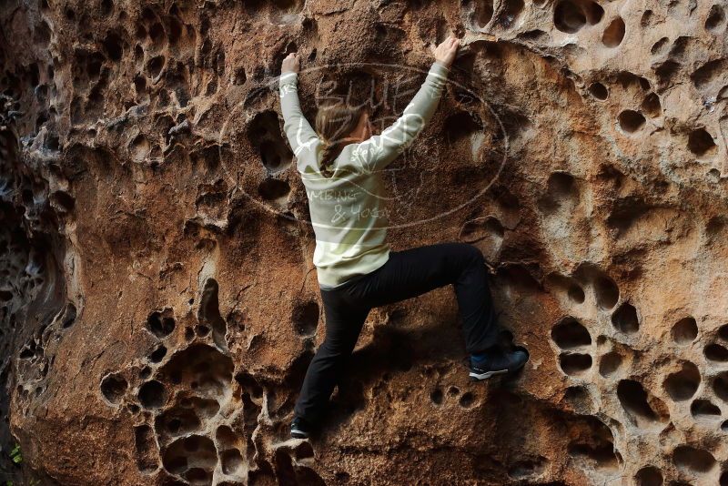 Bouldering in Hueco Tanks on 12/27/2019 with Blue Lizard Climbing and Yoga

Filename: SRM_20191227_1626200.jpg
Aperture: f/4.0
Shutter Speed: 1/125
Body: Canon EOS-1D Mark II
Lens: Canon EF 50mm f/1.8 II