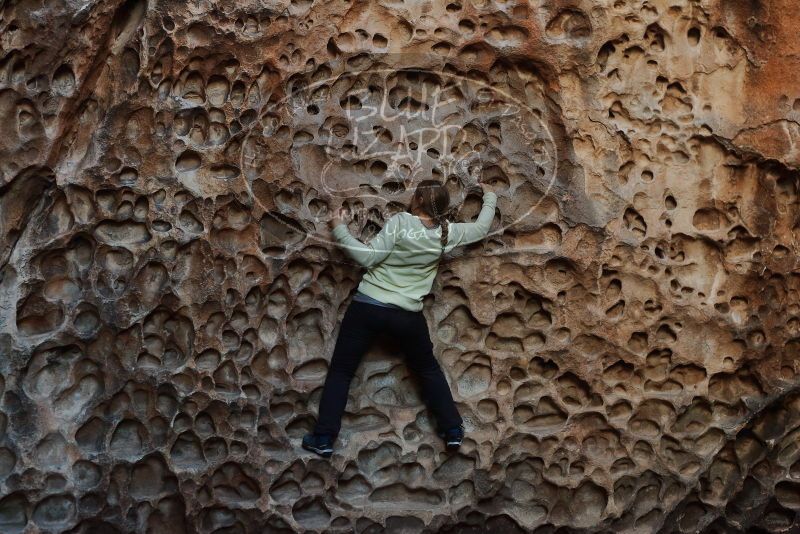 Bouldering in Hueco Tanks on 12/27/2019 with Blue Lizard Climbing and Yoga

Filename: SRM_20191227_1627400.jpg
Aperture: f/4.0
Shutter Speed: 1/125
Body: Canon EOS-1D Mark II
Lens: Canon EF 50mm f/1.8 II