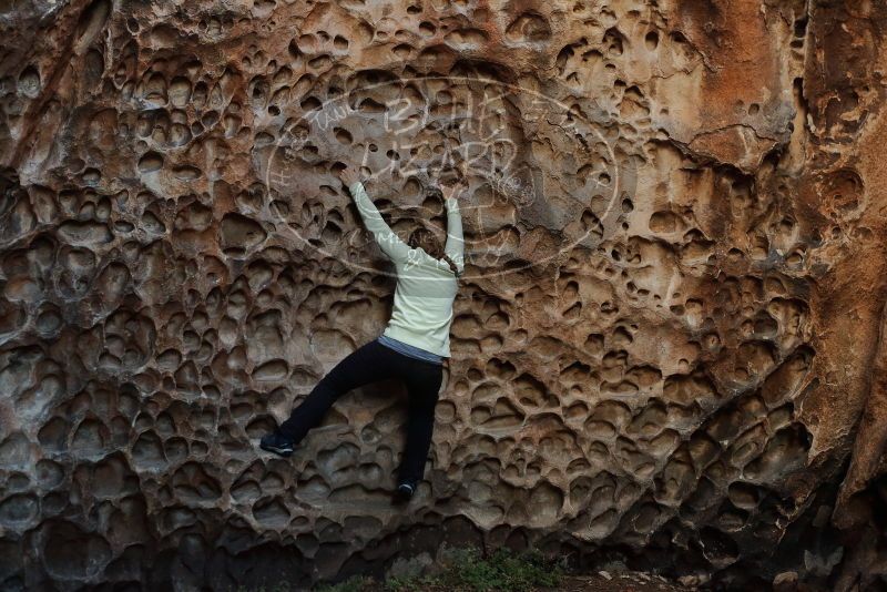 Bouldering in Hueco Tanks on 12/27/2019 with Blue Lizard Climbing and Yoga

Filename: SRM_20191227_1627450.jpg
Aperture: f/4.0
Shutter Speed: 1/125
Body: Canon EOS-1D Mark II
Lens: Canon EF 50mm f/1.8 II