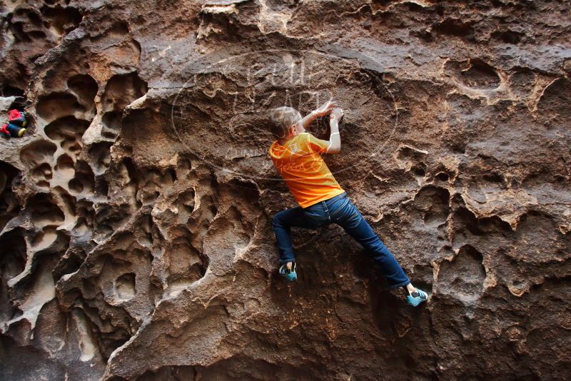 Bouldering in Hueco Tanks on 12/27/2019 with Blue Lizard Climbing and Yoga

Filename: SRM_20191227_1645430.jpg
Aperture: f/2.8
Shutter Speed: 1/100
Body: Canon EOS-1D Mark II
Lens: Canon EF 16-35mm f/2.8 L
