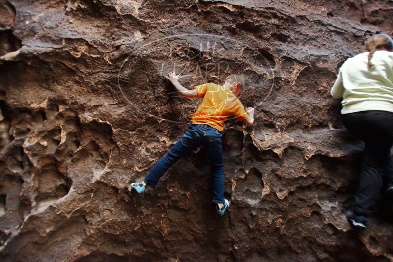 Bouldering in Hueco Tanks on 12/27/2019 with Blue Lizard Climbing and Yoga
Filename: SRM_20191227_1645480.jpg
Aperture: f/2.8
Shutter Speed: 1/100
Body: Canon EOS-1D Mark II
Lens: Canon EF 16-35mm f/2.8 L