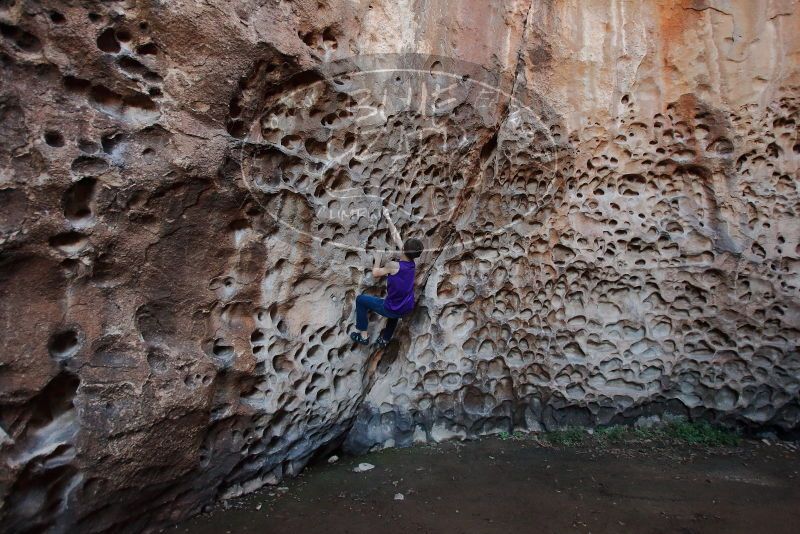 Bouldering in Hueco Tanks on 12/27/2019 with Blue Lizard Climbing and Yoga
Filename: SRM_20191227_1647130.jpg
Aperture: f/3.2
Shutter Speed: 1/125
Body: Canon EOS-1D Mark II
Lens: Canon EF 16-35mm f/2.8 L