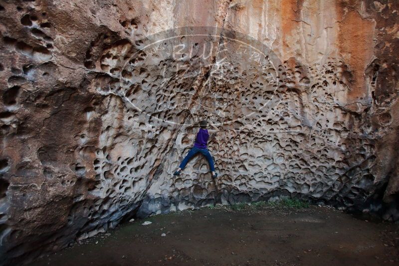 Bouldering in Hueco Tanks on 12/27/2019 with Blue Lizard Climbing and Yoga

Filename: SRM_20191227_1647230.jpg
Aperture: f/3.2
Shutter Speed: 1/125
Body: Canon EOS-1D Mark II
Lens: Canon EF 16-35mm f/2.8 L
