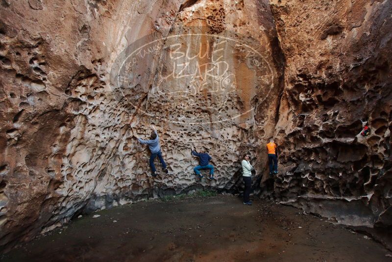Bouldering in Hueco Tanks on 12/27/2019 with Blue Lizard Climbing and Yoga
Filename: SRM_20191227_1657210.jpg
Aperture: f/4.0
Shutter Speed: 1/100
Body: Canon EOS-1D Mark II
Lens: Canon EF 16-35mm f/2.8 L