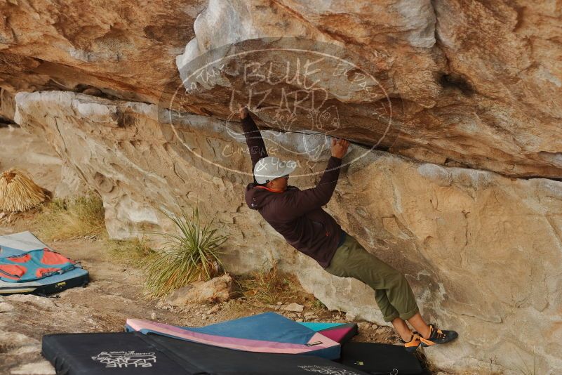 Bouldering in Hueco Tanks on 12/28/2019 with Blue Lizard Climbing and Yoga
Filename: SRM_20191228_1243540.jpg
Aperture: f/3.2
Shutter Speed: 1/500
Body: Canon EOS-1D Mark II
Lens: Canon EF 50mm f/1.8 II