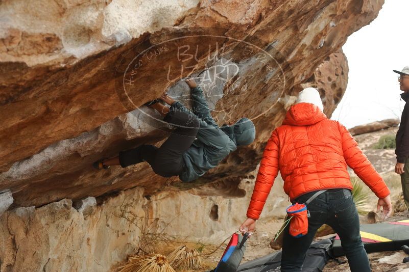 Bouldering in Hueco Tanks on 12/28/2019 with Blue Lizard Climbing and Yoga
Filename: SRM_20191228_1249050.jpg
Aperture: f/4.0
Shutter Speed: 1/400
Body: Canon EOS-1D Mark II
Lens: Canon EF 50mm f/1.8 II
