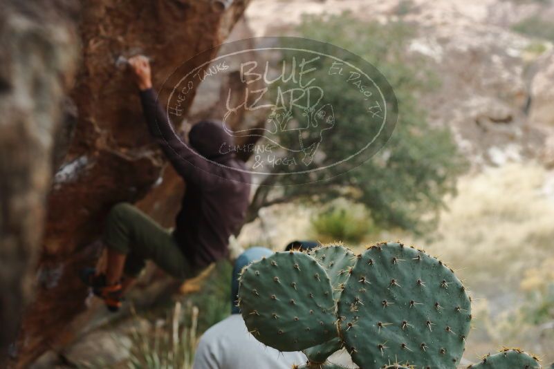 Bouldering in Hueco Tanks on 12/28/2019 with Blue Lizard Climbing and Yoga

Filename: SRM_20191228_1419310.jpg
Aperture: f/3.5
Shutter Speed: 1/400
Body: Canon EOS-1D Mark II
Lens: Canon EF 50mm f/1.8 II