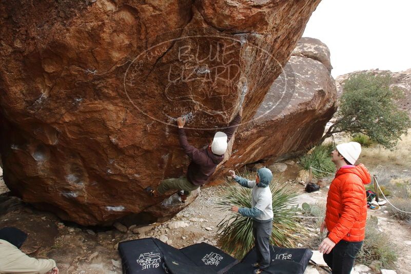 Bouldering in Hueco Tanks on 12/28/2019 with Blue Lizard Climbing and Yoga
Filename: SRM_20191228_1518030.jpg
Aperture: f/7.1
Shutter Speed: 1/250
Body: Canon EOS-1D Mark II
Lens: Canon EF 16-35mm f/2.8 L