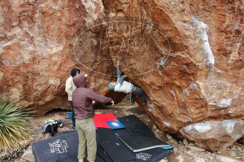Bouldering in Hueco Tanks on 12/28/2019 with Blue Lizard Climbing and Yoga
Filename: SRM_20191228_1537390.jpg
Aperture: f/5.0
Shutter Speed: 1/250
Body: Canon EOS-1D Mark II
Lens: Canon EF 16-35mm f/2.8 L