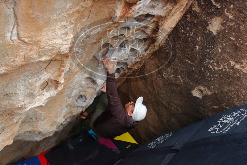 Bouldering in Hueco Tanks on 12/28/2019 with Blue Lizard Climbing and Yoga
Filename: SRM_20191228_1620531.jpg
Aperture: f/6.3
Shutter Speed: 1/250
Body: Canon EOS-1D Mark II
Lens: Canon EF 16-35mm f/2.8 L
