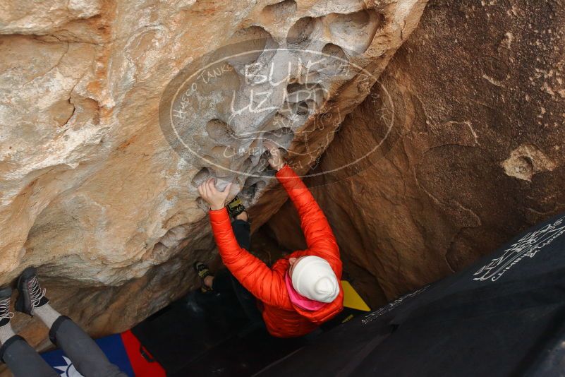 Bouldering in Hueco Tanks on 12/28/2019 with Blue Lizard Climbing and Yoga
Filename: SRM_20191228_1633180.jpg
Aperture: f/4.5
Shutter Speed: 1/250
Body: Canon EOS-1D Mark II
Lens: Canon EF 16-35mm f/2.8 L